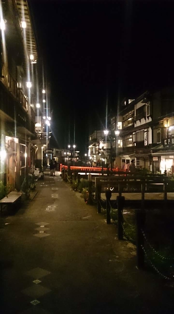 風情豊かな銀山温泉 山形県 文書短め マイナースポット 珍食材 珍味 郷土料理 昭和レトロ巡り メタルカバーを徒然に
