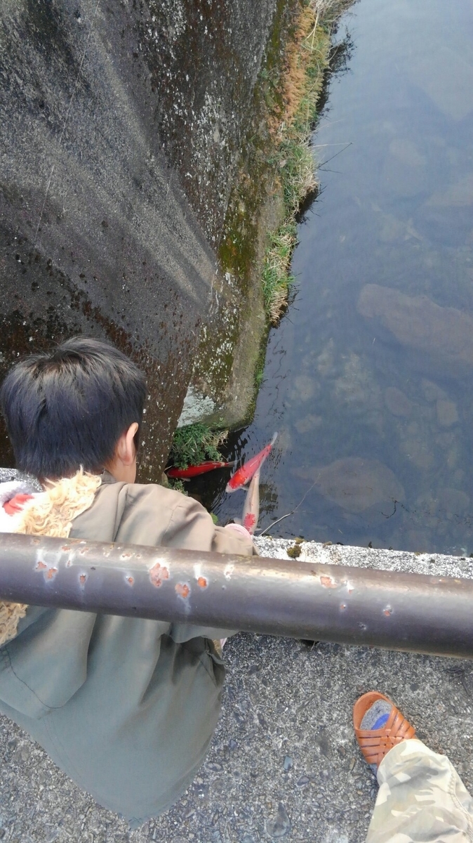 f:id:rydiarena:20200706211238j:plain