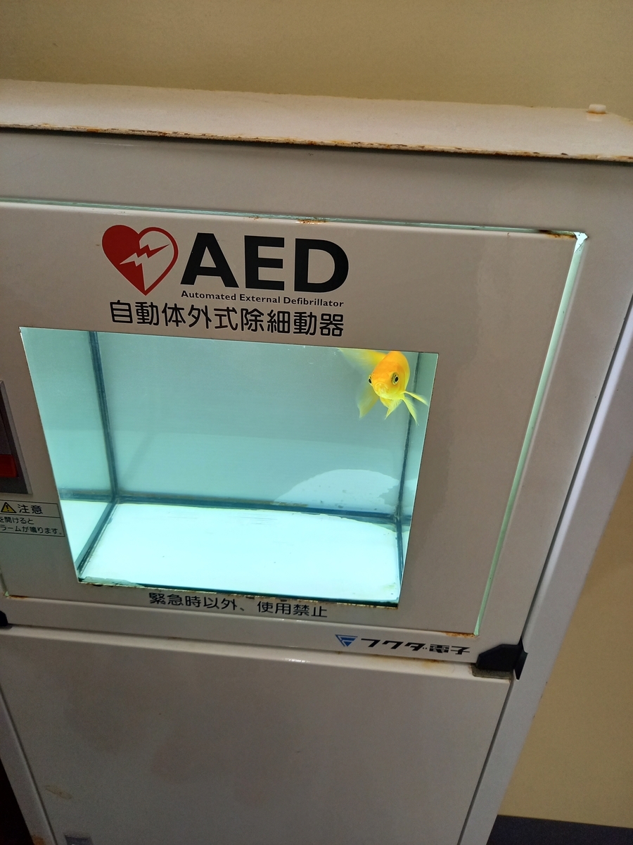 f:id:rydiarena:20220324213934j:plain