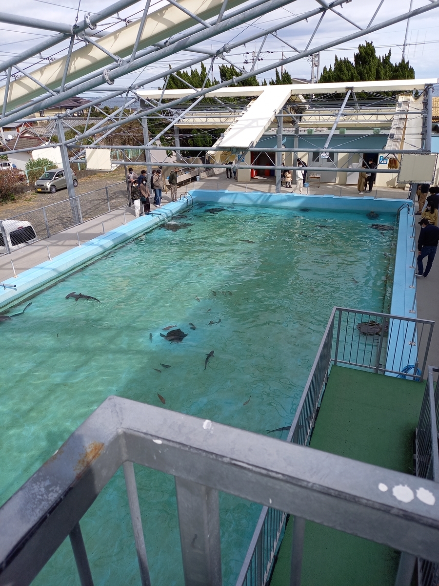 f:id:rydiarena:20220324213957j:plain