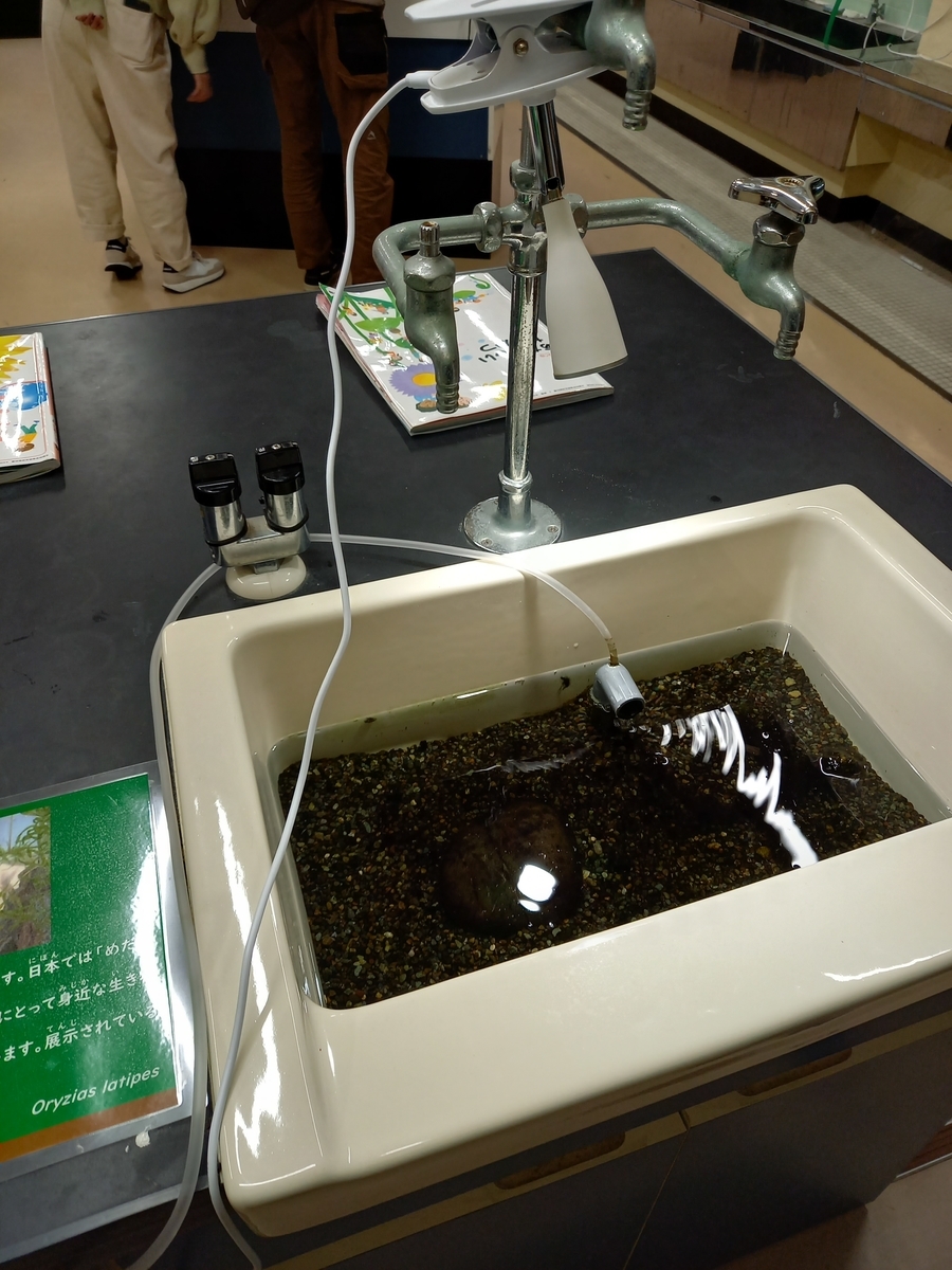 f:id:rydiarena:20220324214103j:plain