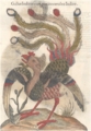 20160215183119
