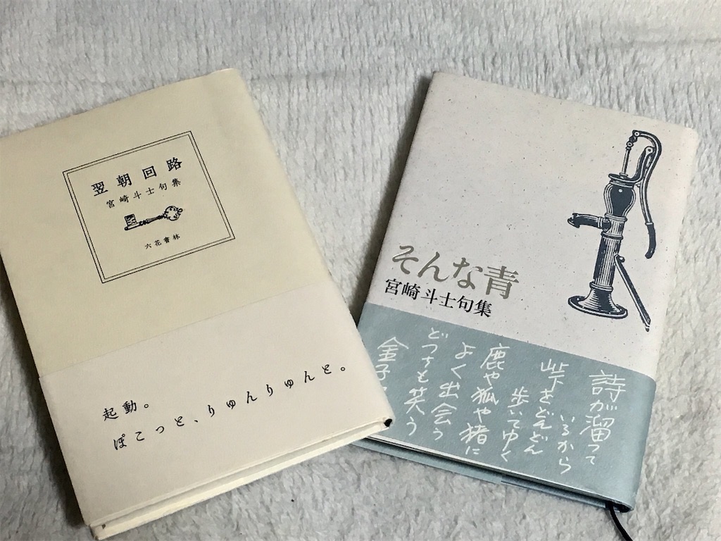 芝不器男俳句新人賞について① 〜私が賞に対して考えたこと〜 - あたま