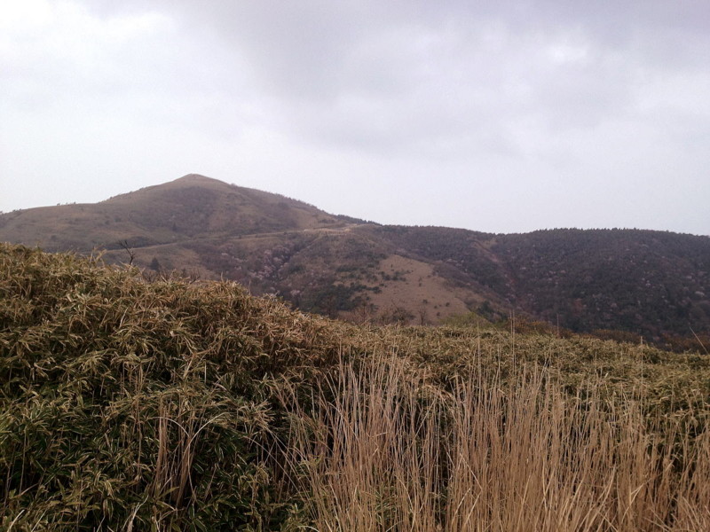 f:id:ryjymmt:20120429163219j:image:w320