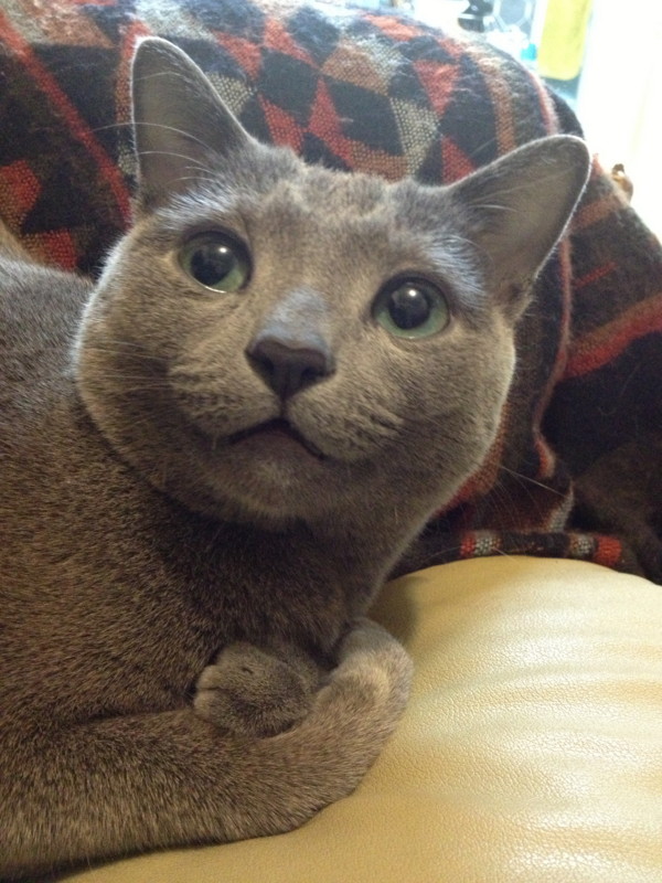f:id:ryk_fuku:20130122214405j:image:w360 f:id:ryk_fuku:20130122214405j:image:w360