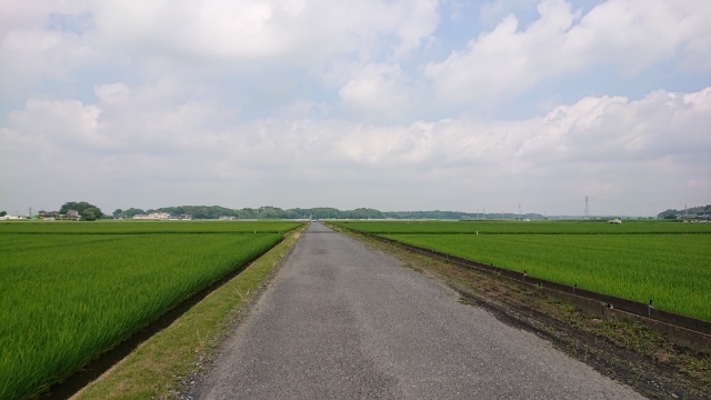 f:id:ryktsuchiy:20190626112758j:plain