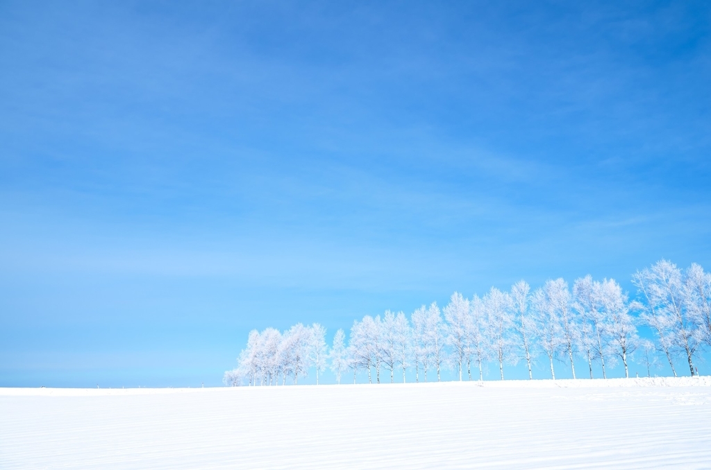 f:id:rymanpacker:20190217073324j:plain