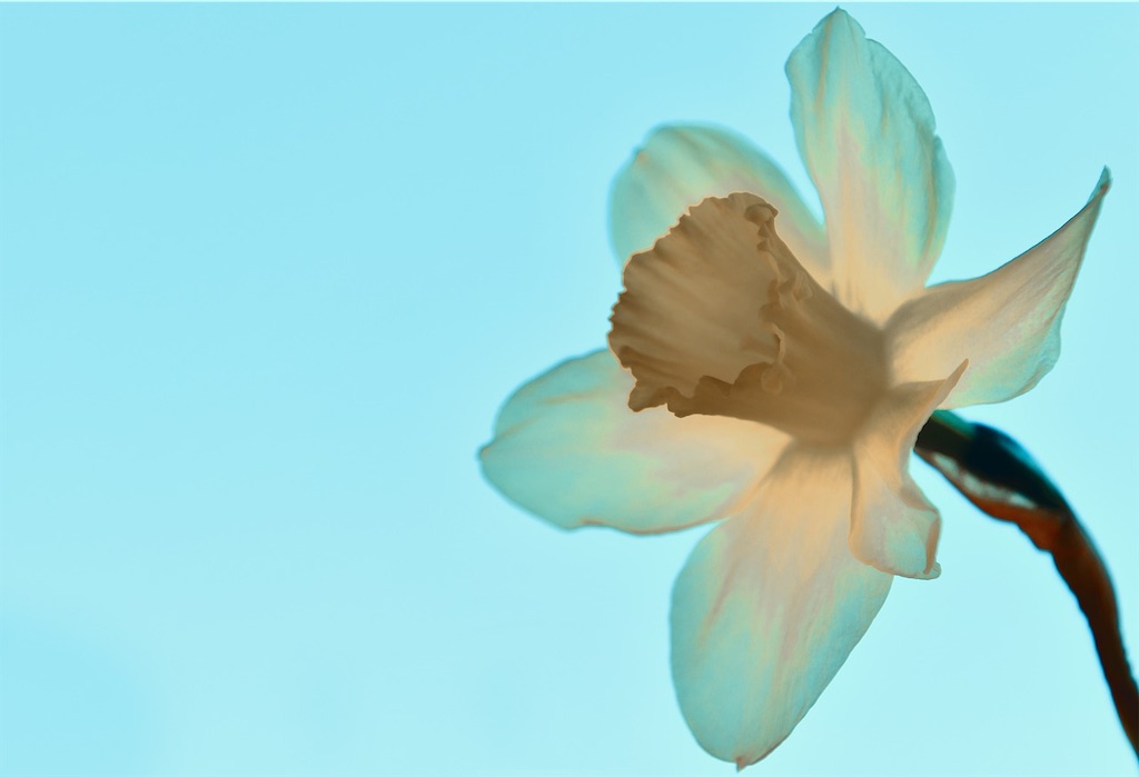 f:id:ryo-0128:20210810224617j:image f:id:ryo-0128:20210810224617j:image