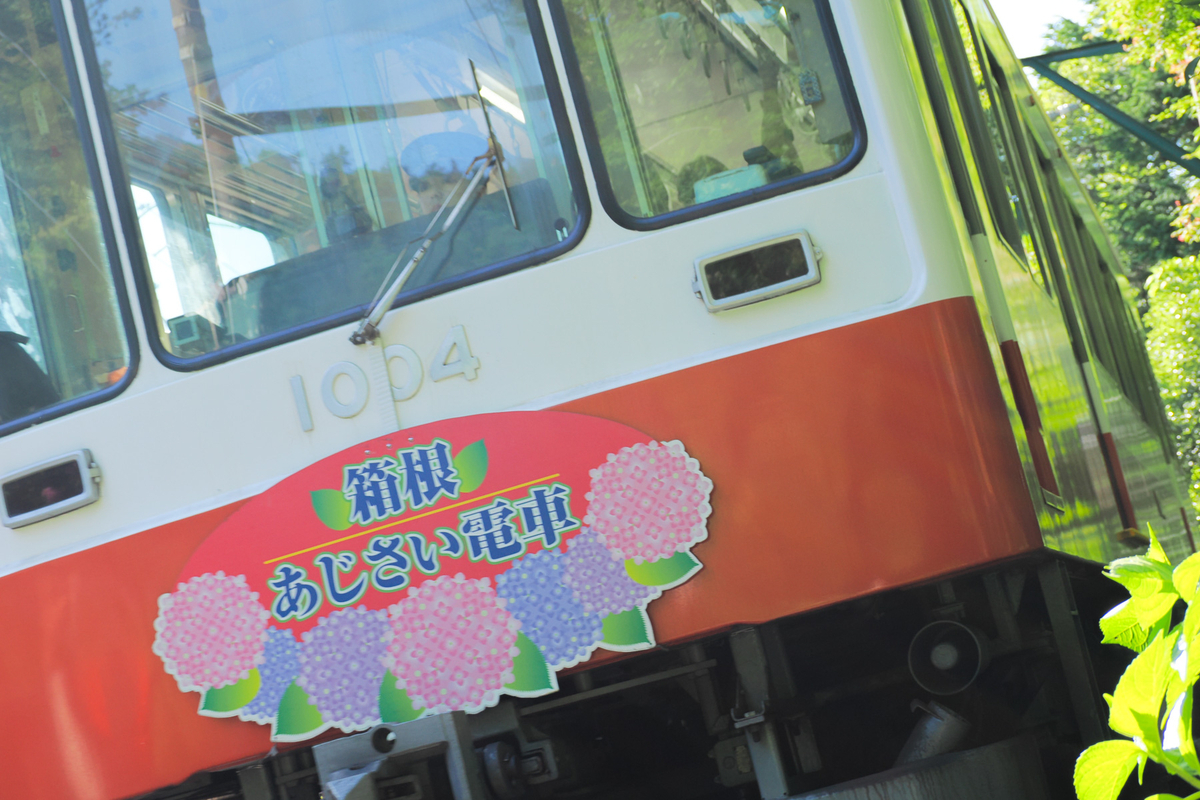 箱根あじさい電車のヘッドマークを付けた赤い登山電車が、緑豊かな木々の中で輝く写真