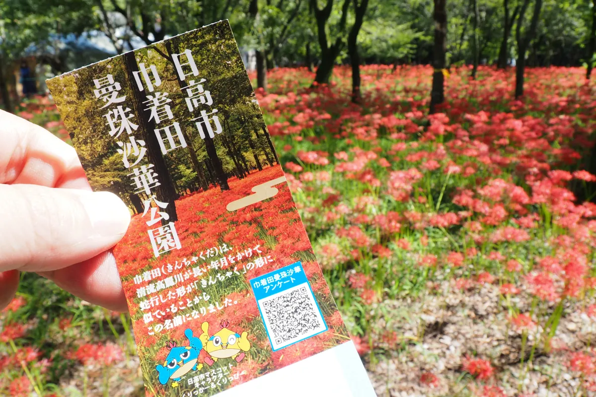 巾着田曼珠沙華公園の入場券