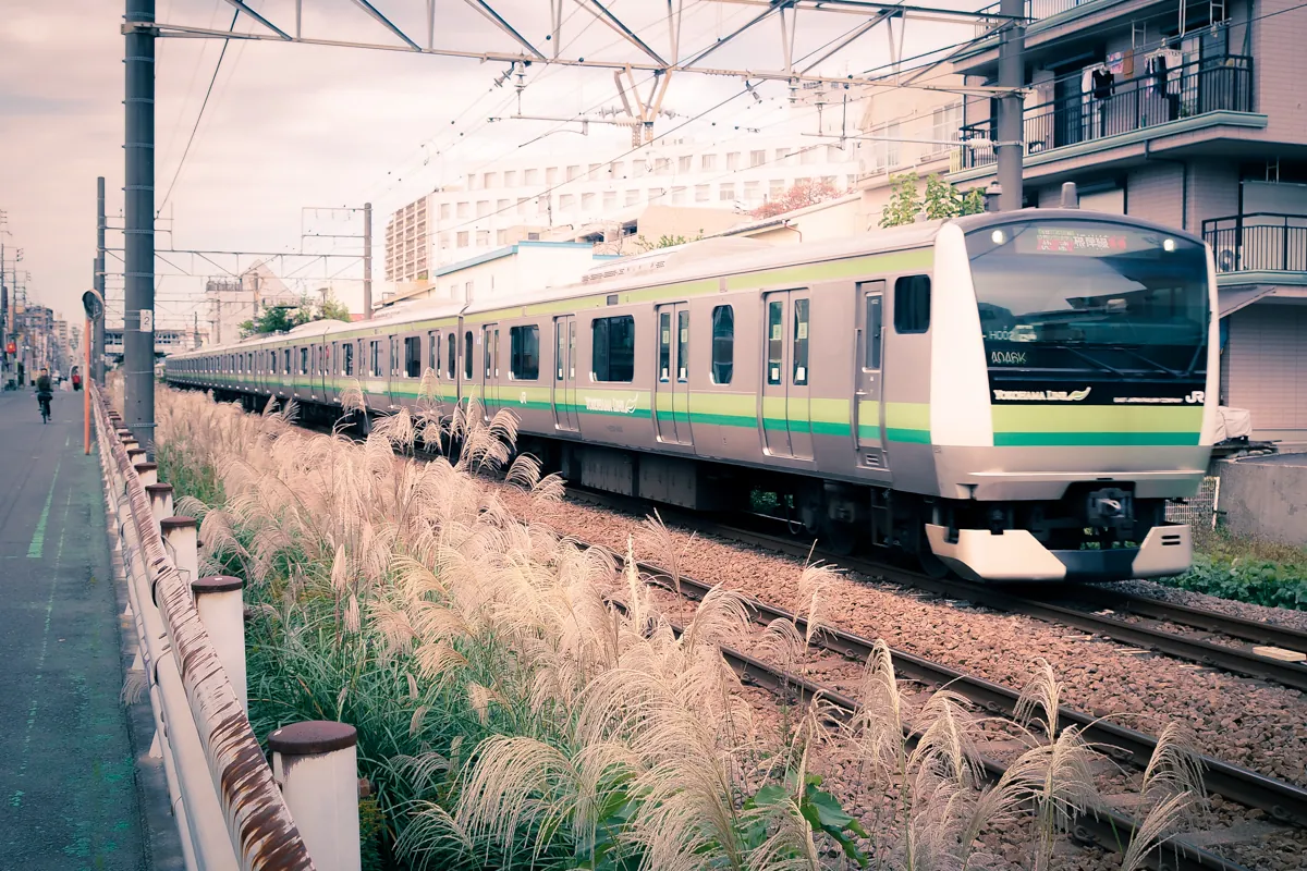 もはやSuicaカラーのJR横浜線。