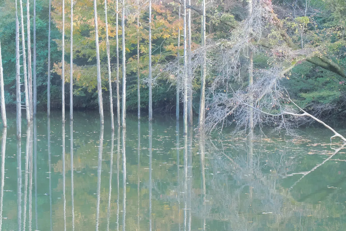フィルター効果で白飛びを自然に抑えらえた様子
