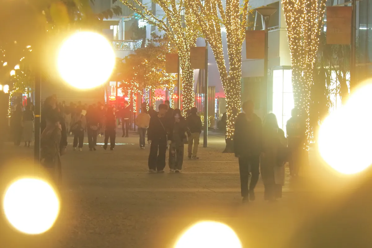 イルミネーションでライトアップされたケヤキ並木の通りを歩く多くの人々。前景には大きな光の玉がぼけて写り、幻想的な雰囲気を醸し出している。