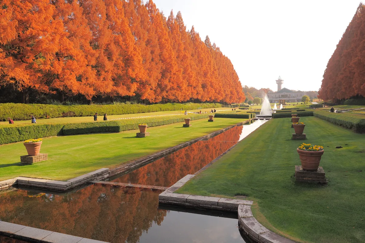 秋の公園の紅葉と水面に映る景色。K&amp;F CONCEPTの2-in-1フィルターを装着したカメラで撮影された、鮮やかな紅葉と水面のコントラストが美しい風景。