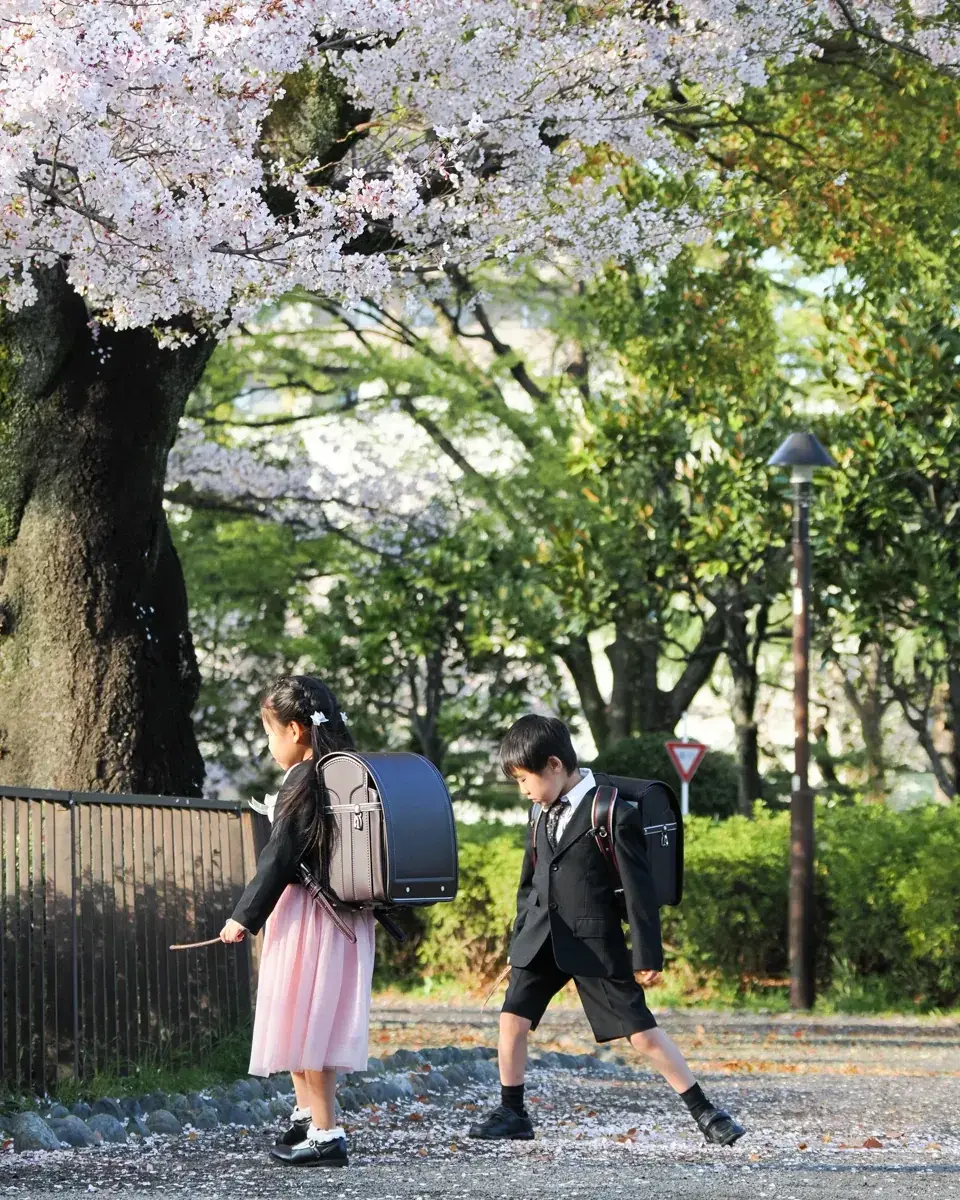 桜の木の下を歩く双子の後ろ姿。ベージュと黒のランドセルが並んでいる。