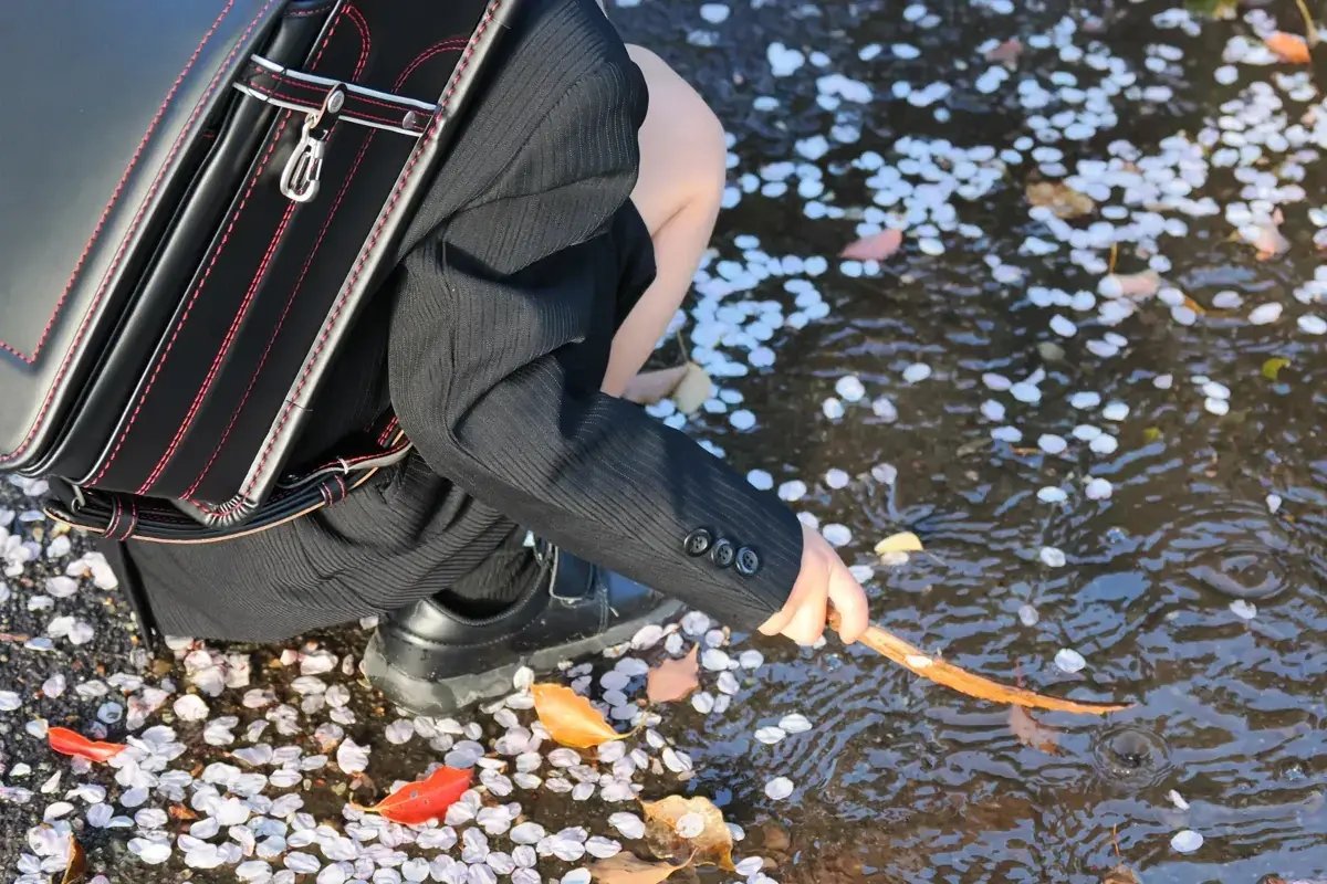 ランドセル姿の男の子が水たまりの縁にしゃがみ込み、散った花びらに触れている。