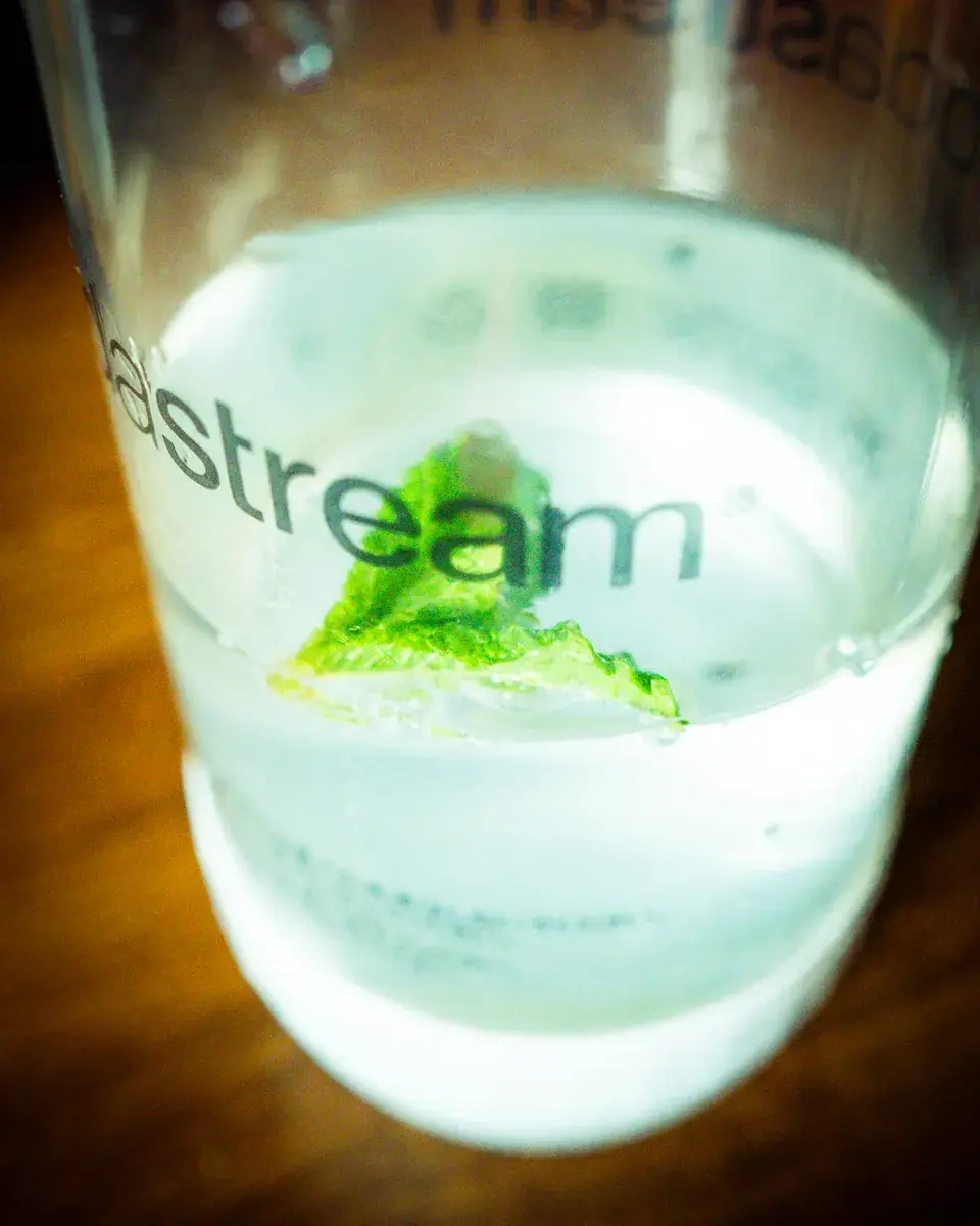 ソーダストリームのボトルに入った炭酸水。中央にハートの形をした一枚のミントの葉が浮かび、細かな気泡が無数に付着している様子。