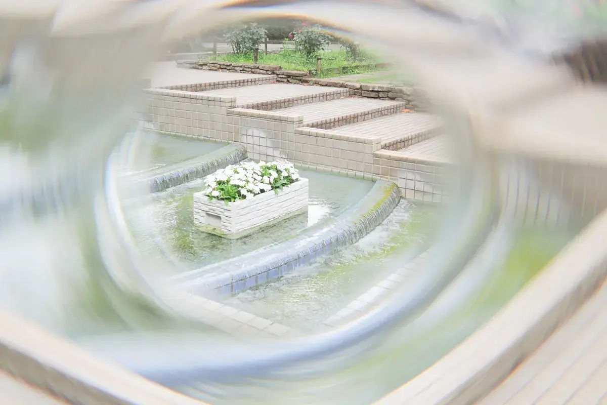 相模原北公園の水場。前景に白い花の大きなボケを配置し、奥に噴水と花壇。水の動きと光の反射が風景に動きを与えている。OM-1。