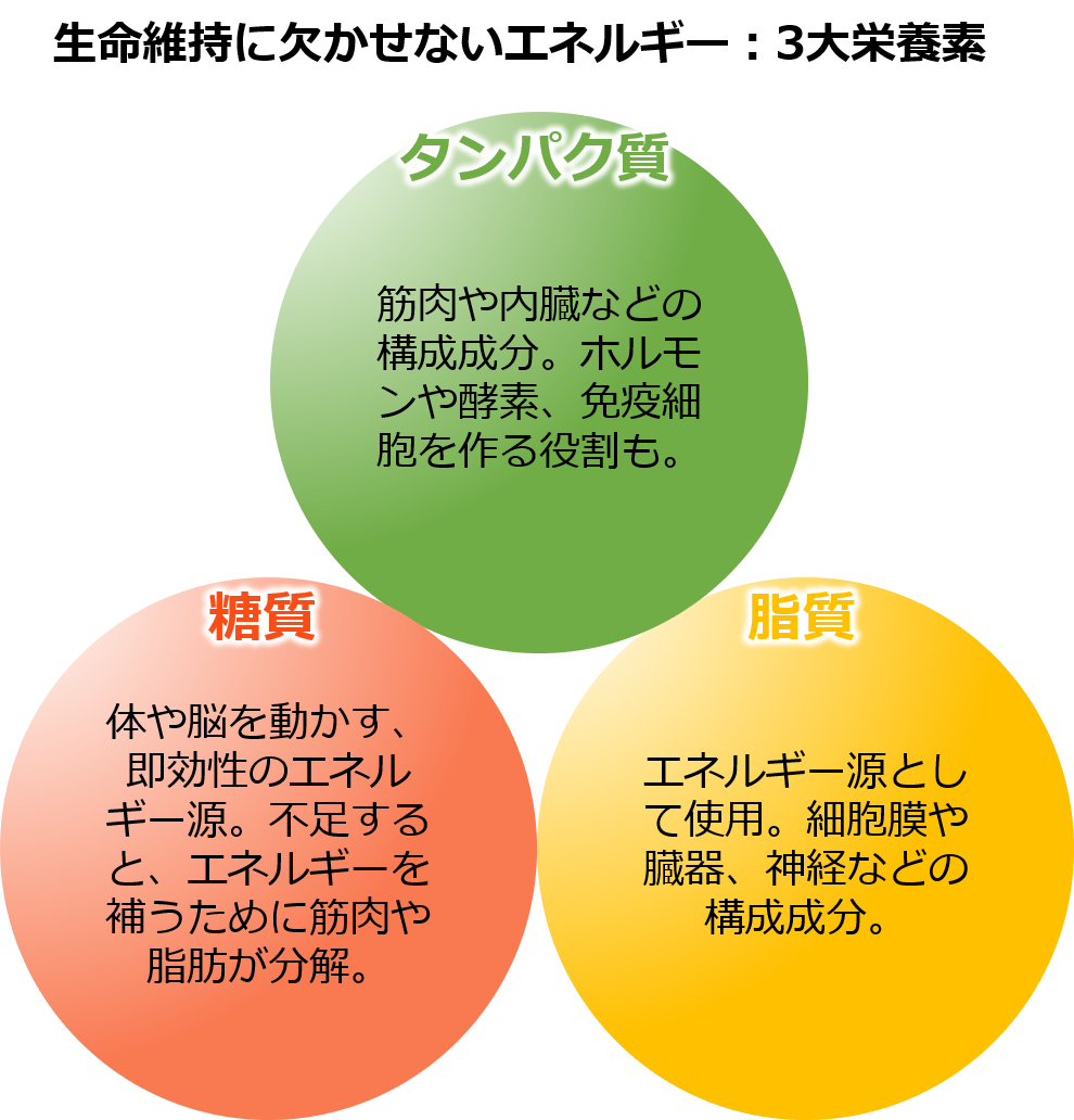 f:id:ryo-honnmono:20200423192923p:plain