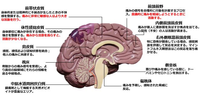 f:id:ryo-honnmono:20200506104324j:plain