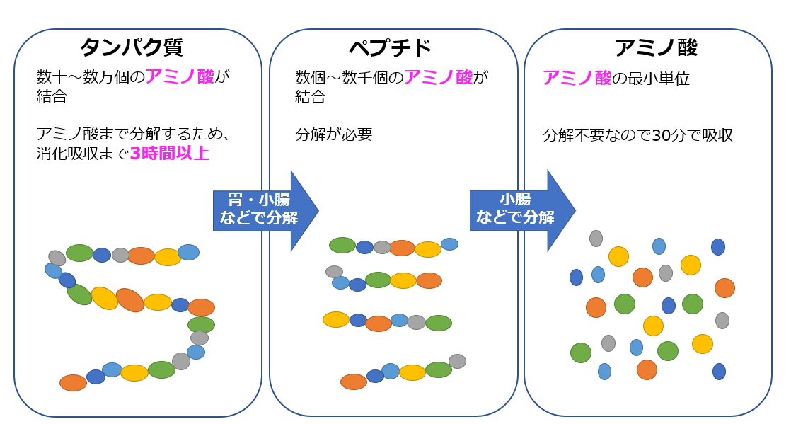 f:id:ryo-honnmono:20200506164912p:plain