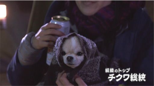 f:id:ryo-ossan:20200327204715j:image f:id:ryo-ossan:20200327204715j:image