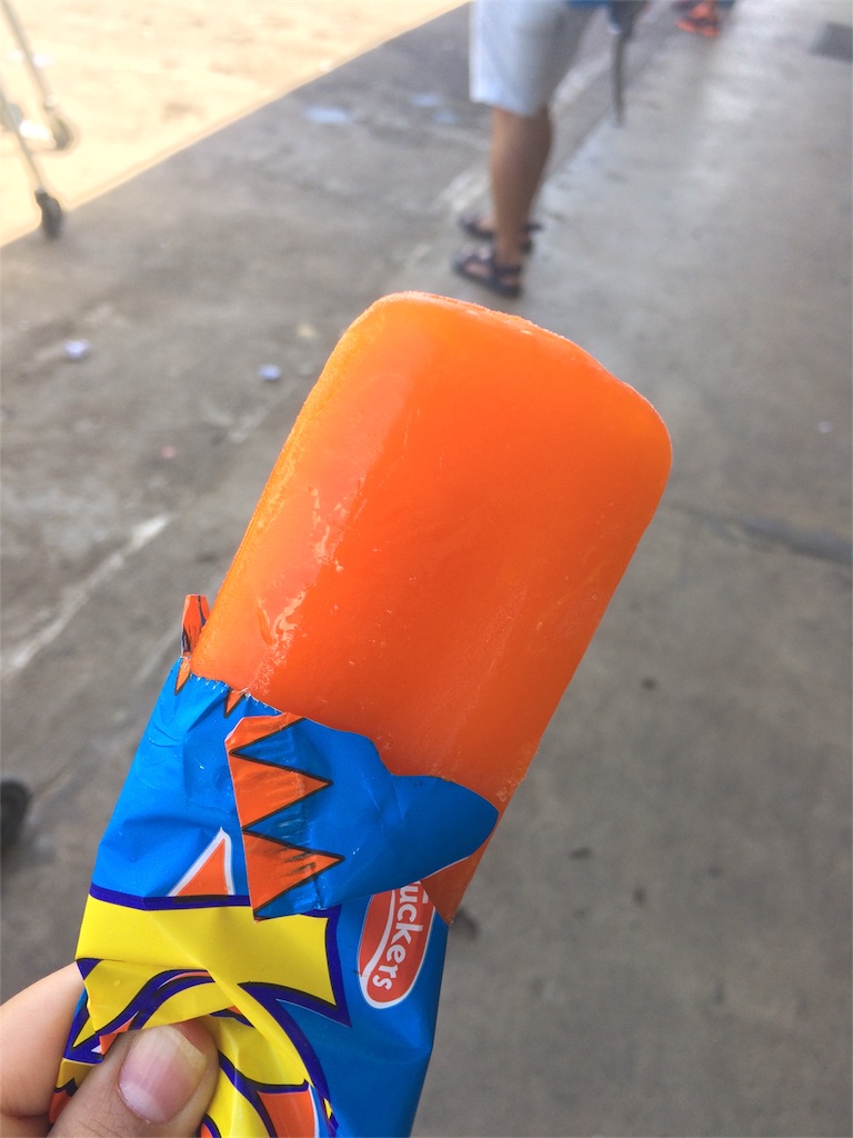 f:id:ryo-saya:20161123180226j:plain