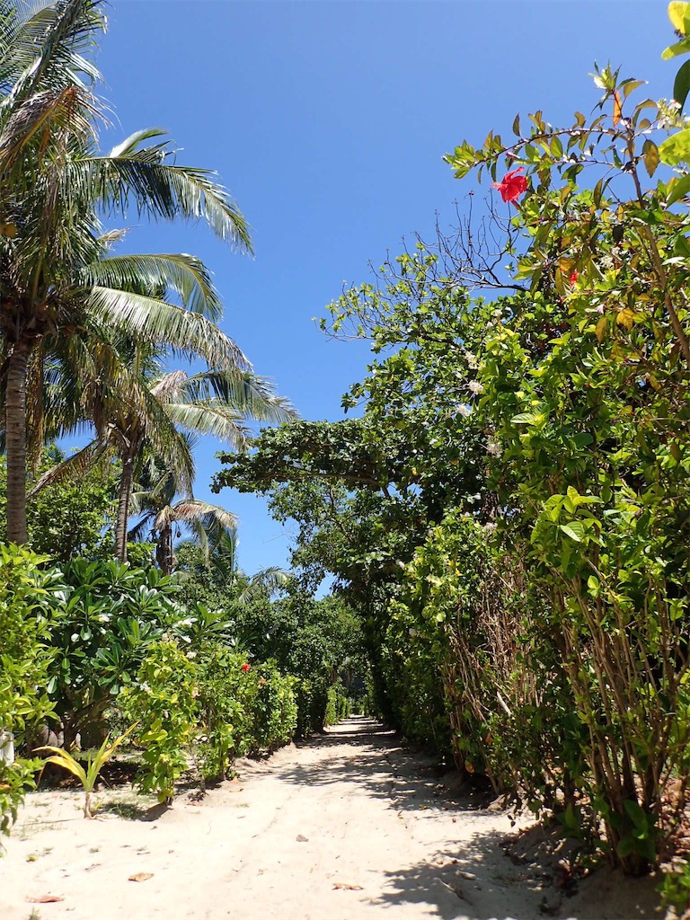 f:id:ryo-saya:20161207011324j:image