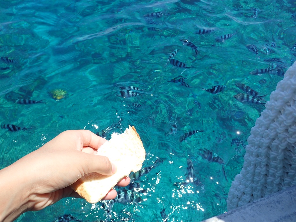 f:id:ryo-saya:20161207011347j:image