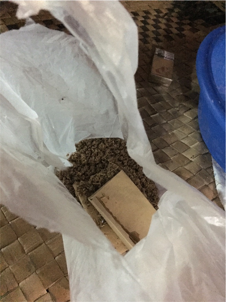 f:id:ryo-saya:20161223143325j:image