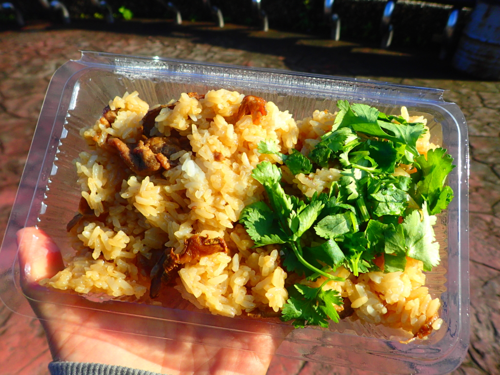 f:id:ryo-saya:20170110210238j:plain