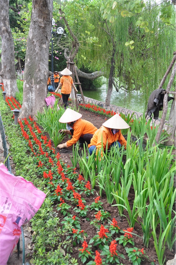 f:id:ryo-saya:20170125162004j:image