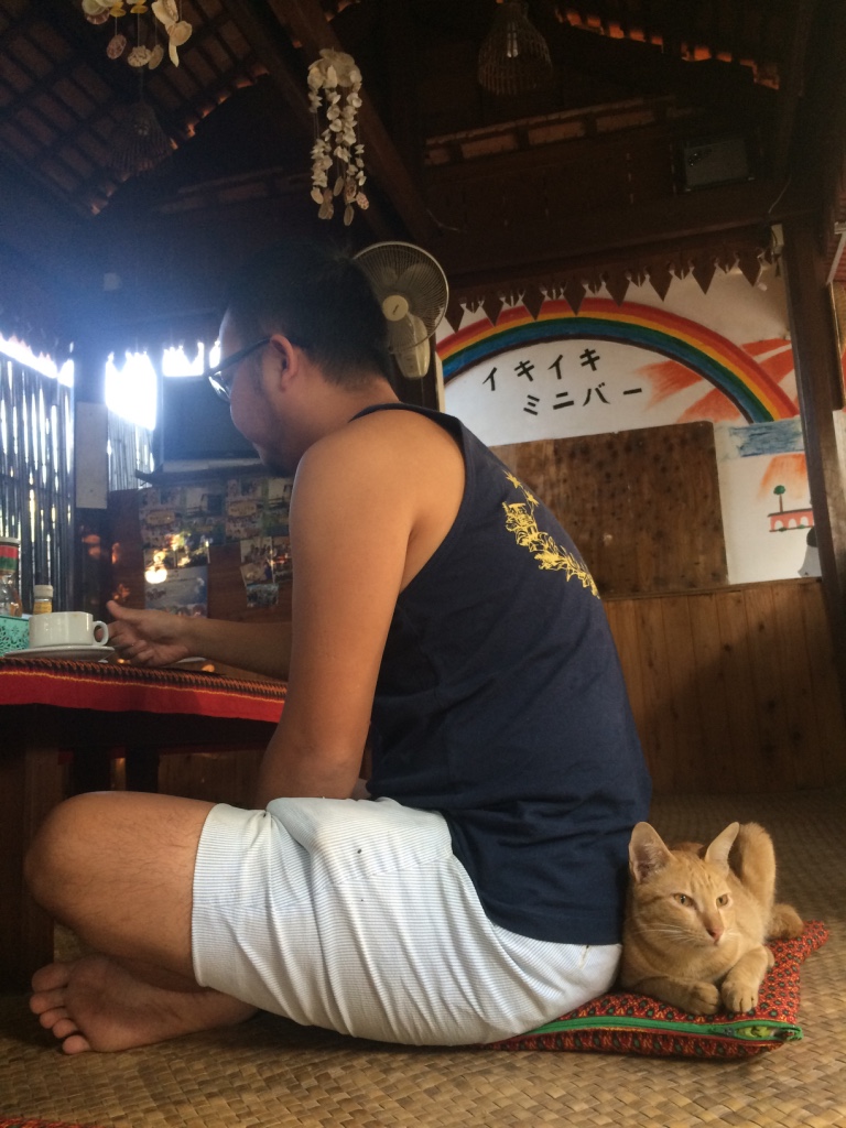 f:id:ryo-saya:20170204085120j:plain f:id:ryo-saya:20170204085120j:plain