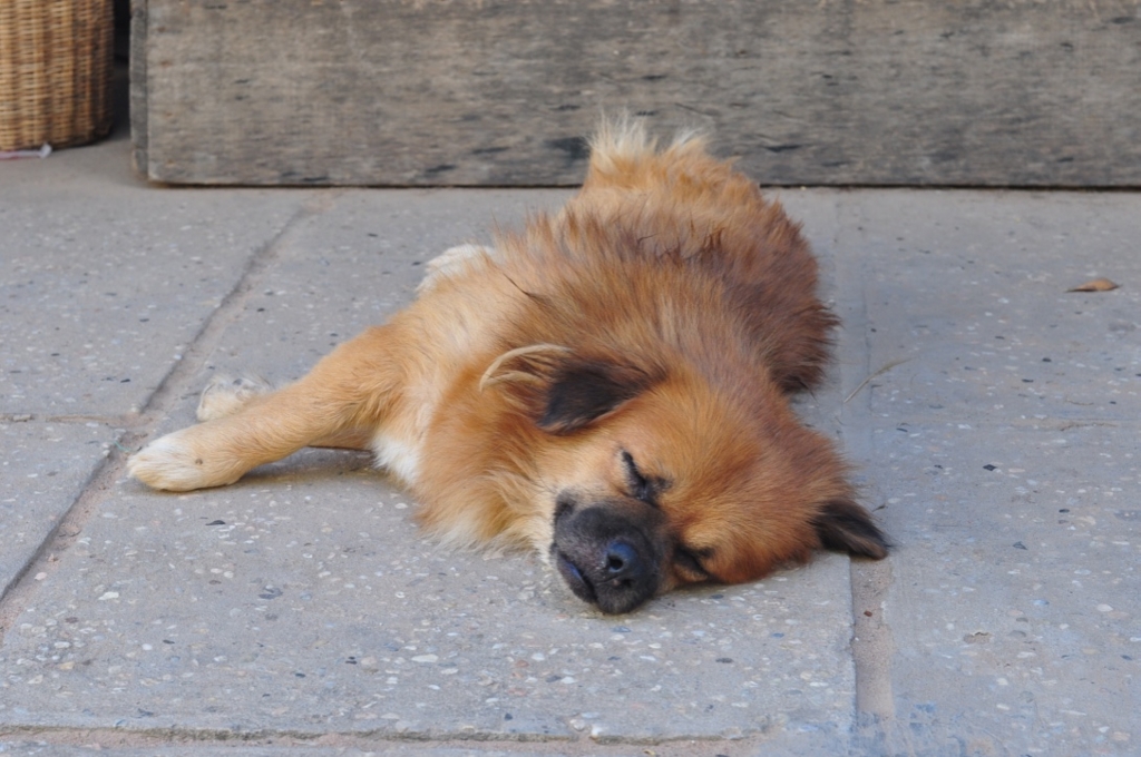 f:id:ryo-saya:20170204182045j:plain f:id:ryo-saya:20170204182045j:plain