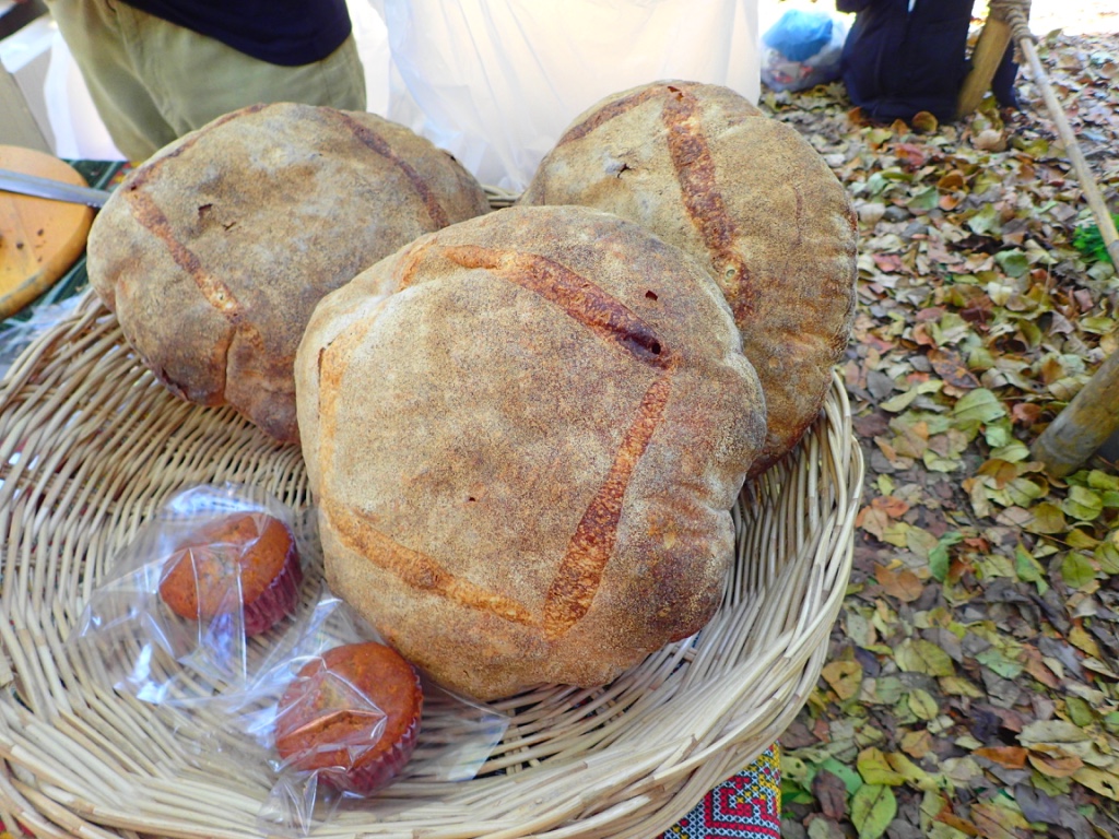 f:id:ryo-saya:20170401162121j:plain