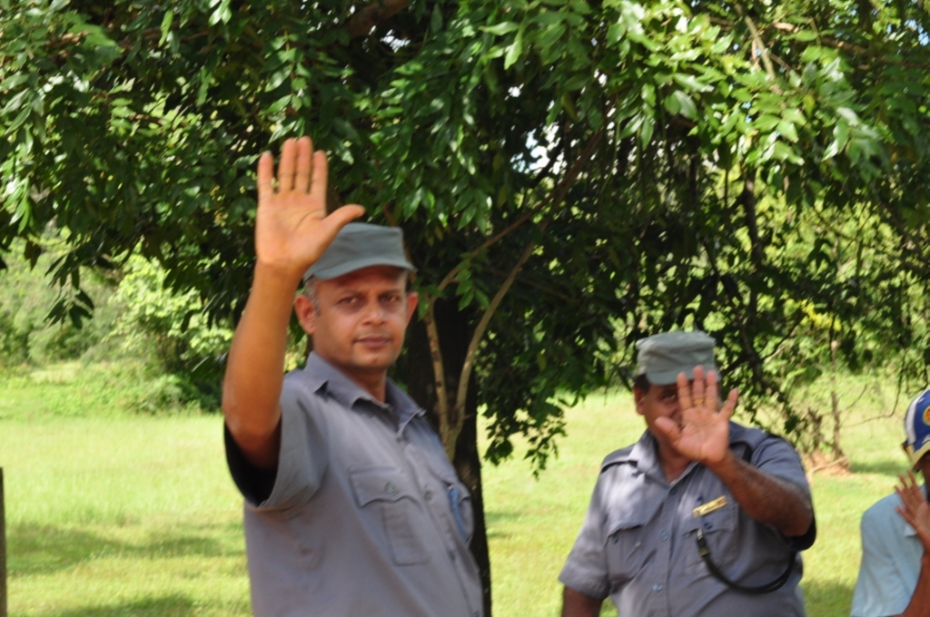 f:id:ryo-saya:20170428104039j:plain