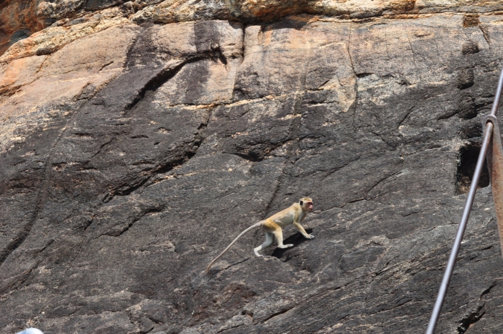 f:id:ryo-saya:20170428104156j:plain