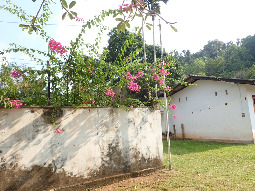 f:id:ryo-saya:20170614060619j:plain