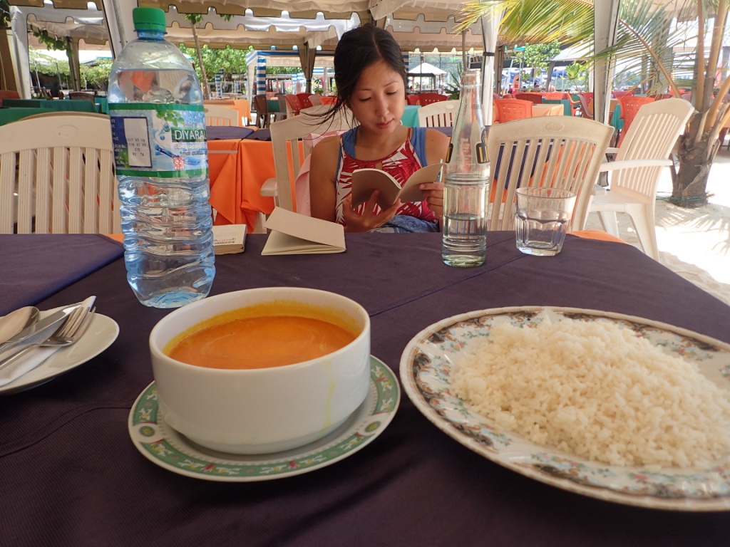 f:id:ryo-saya:20170620060422j:plain