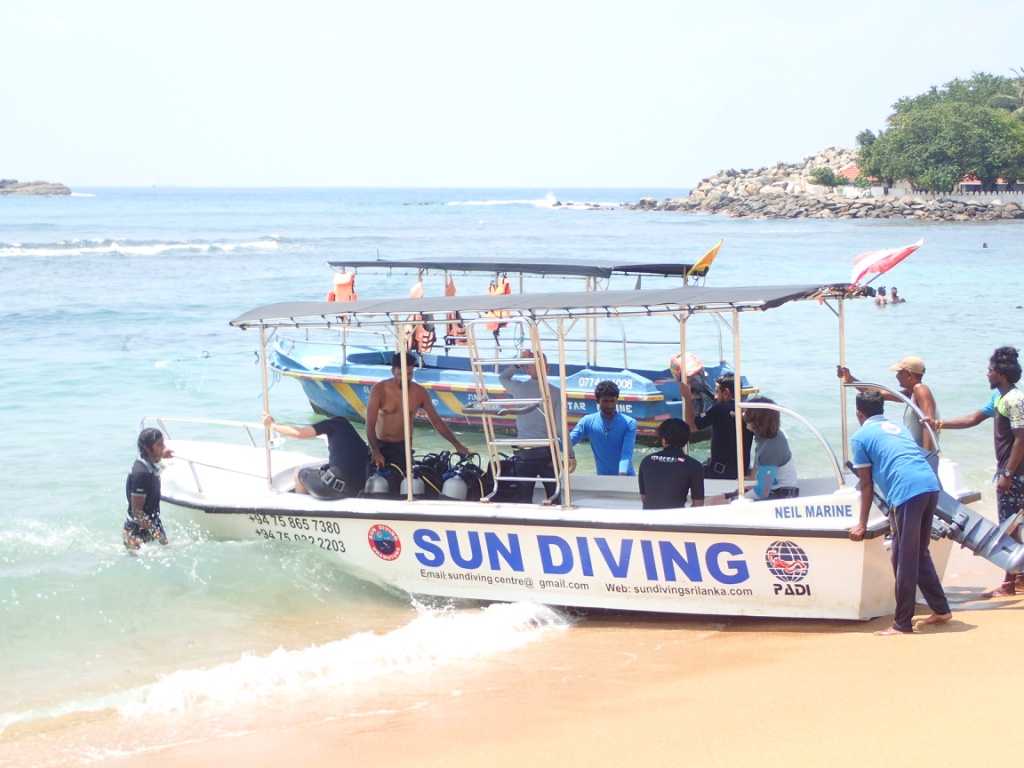 f:id:ryo-saya:20170620060607j:plain