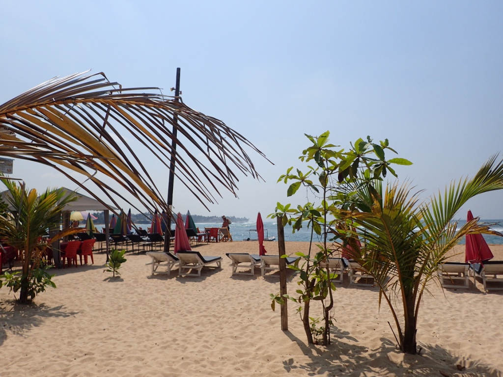 f:id:ryo-saya:20170620061915j:plain