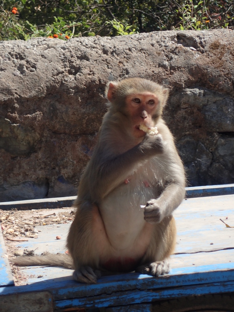 f:id:ryo-saya:20170817093720j:plain f:id:ryo-saya:20170817093720j:plain