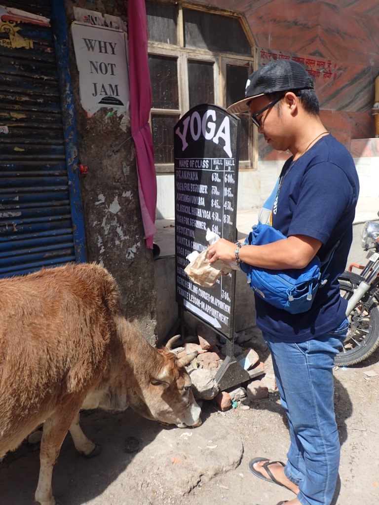 f:id:ryo-saya:20170817095254j:plain f:id:ryo-saya:20170817095254j:plain