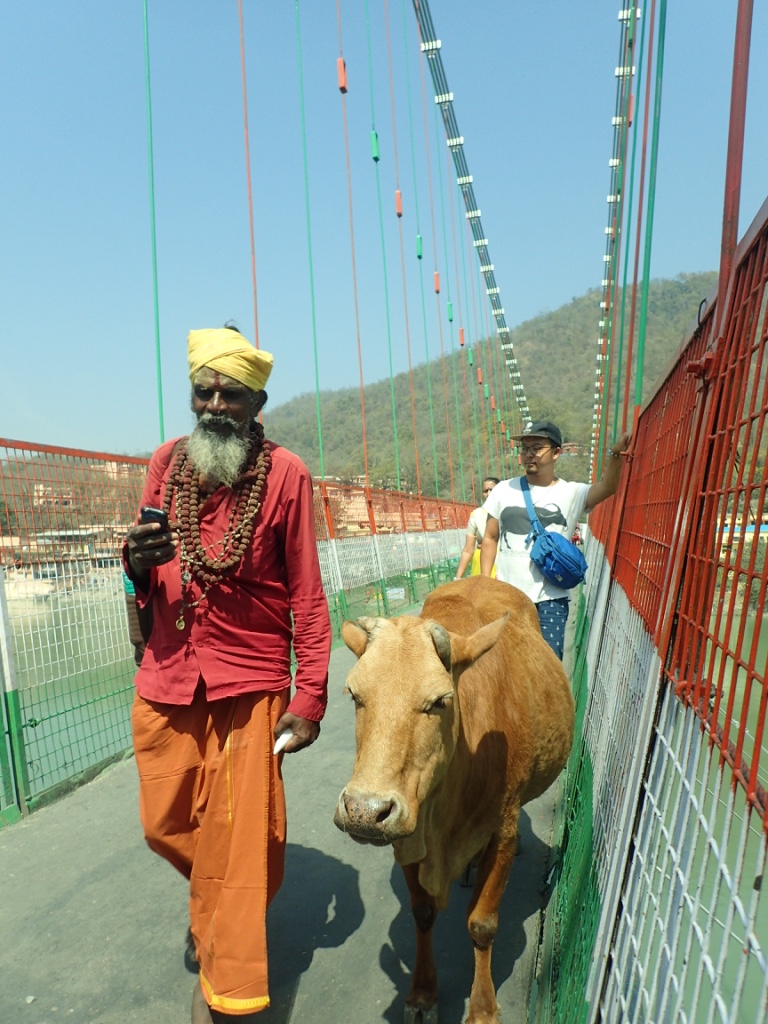 f:id:ryo-saya:20170817100638j:plain f:id:ryo-saya:20170817100638j:plain