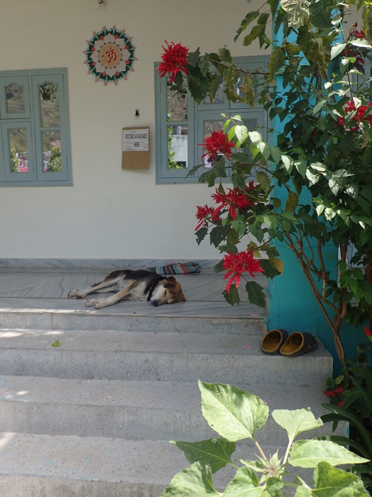 f:id:ryo-saya:20170818014038j:plain f:id:ryo-saya:20170818014038j:plain