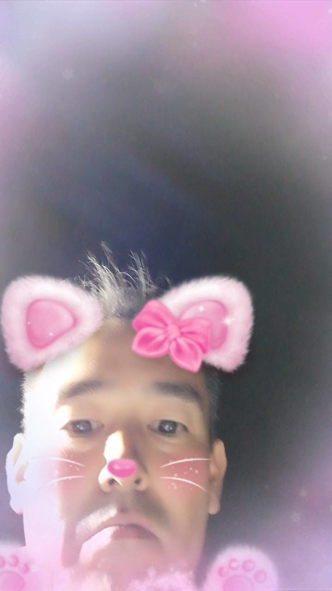 f:id:ryo0119r:20190717174505j:plain f:id:ryo0119r:20190717174505j:plain