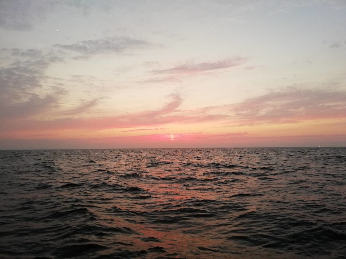 f:id:ryo0119r:20190717174813j:plain f:id:ryo0119r:20190717174813j:plain