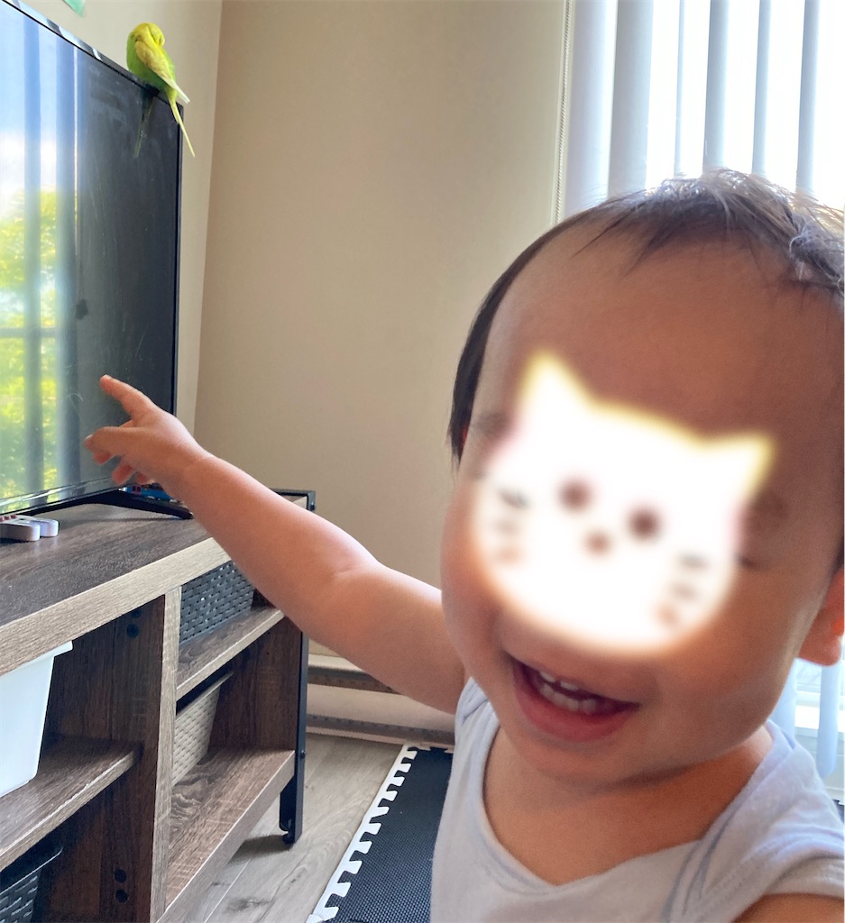 f:id:ryo27apl:20210624023355j:image f:id:ryo27apl:20210624023355j:image