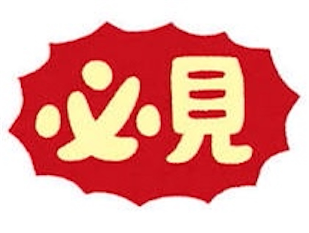 f:id:ryo314AAA:20210210184905j:image