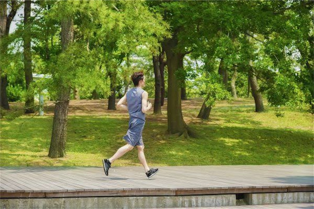f:id:ryo314AAA:20210210185550j:image